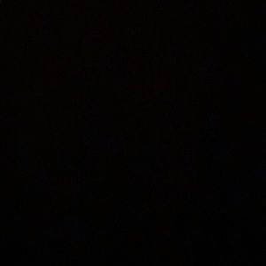 Meet your Posher, Cody